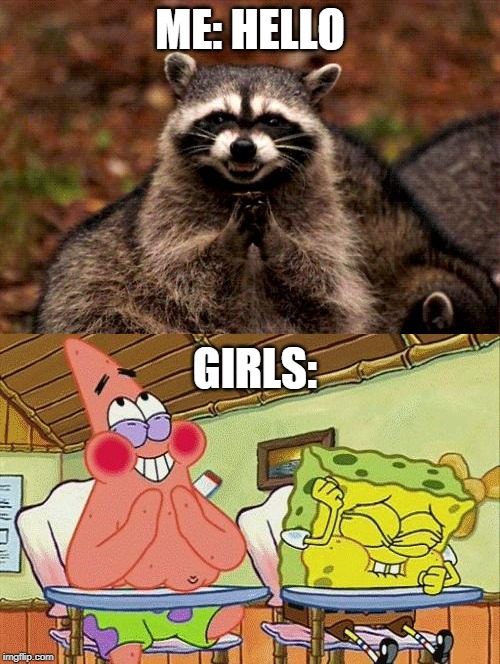 ME: HELLO; GIRLS: | image tagged in memes,evil plotting raccoon,sponge bob laughing | made w/ Imgflip meme maker