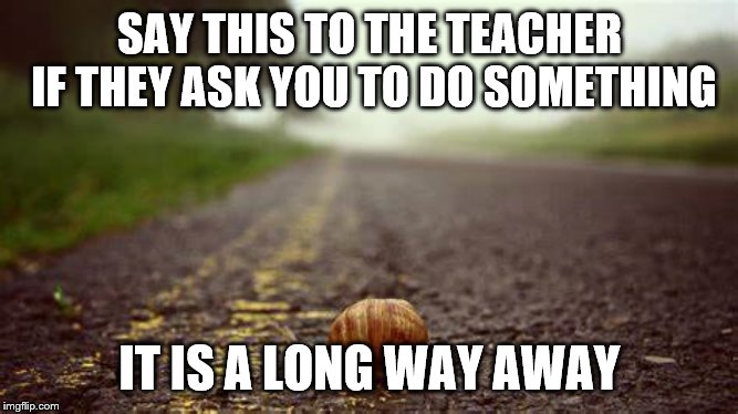 Education memes | SAY THIS TO THE TEACHER IF THEY ASK YOU TO DO SOMETHING; IT IS A LONG WAY AWAY | image tagged in memes | made w/ Imgflip meme maker