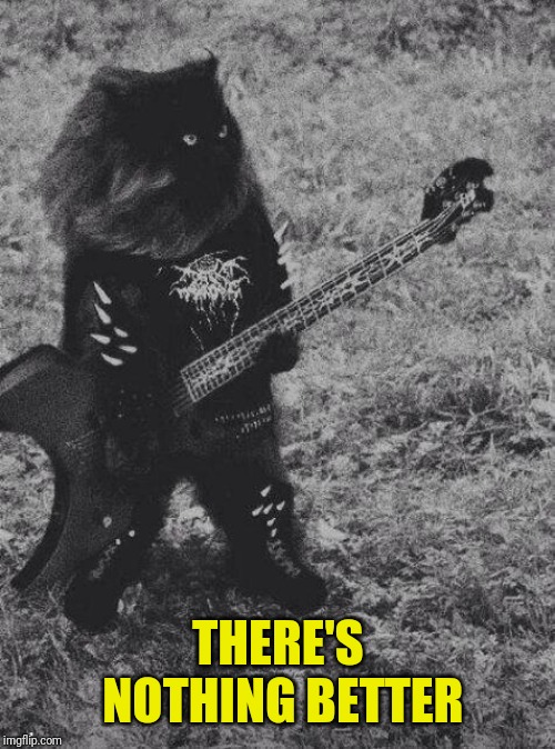 Black Metal Cat | THERE'S NOTHING BETTER | image tagged in black metal cat | made w/ Imgflip meme maker