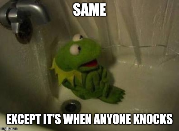 Kermit Shower | SAME EXCEPT IT'S WHEN ANYONE KNOCKS | image tagged in kermit shower | made w/ Imgflip meme maker