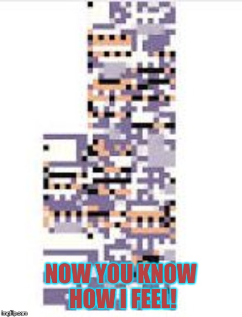 Missingno | NOW YOU KNOW HOW I FEEL! | image tagged in missingno | made w/ Imgflip meme maker