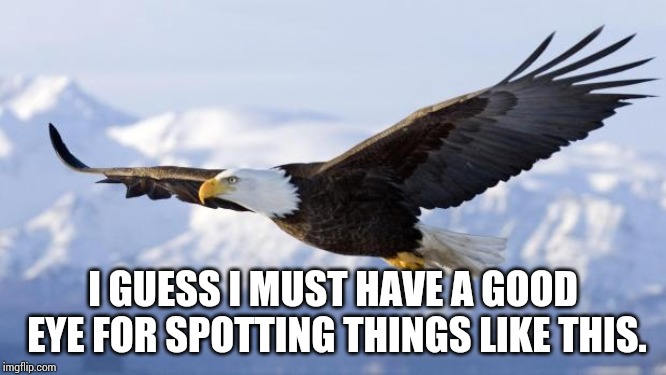 eagle | I GUESS I MUST HAVE A GOOD EYE FOR SPOTTING THINGS LIKE THIS. | image tagged in eagle | made w/ Imgflip meme maker