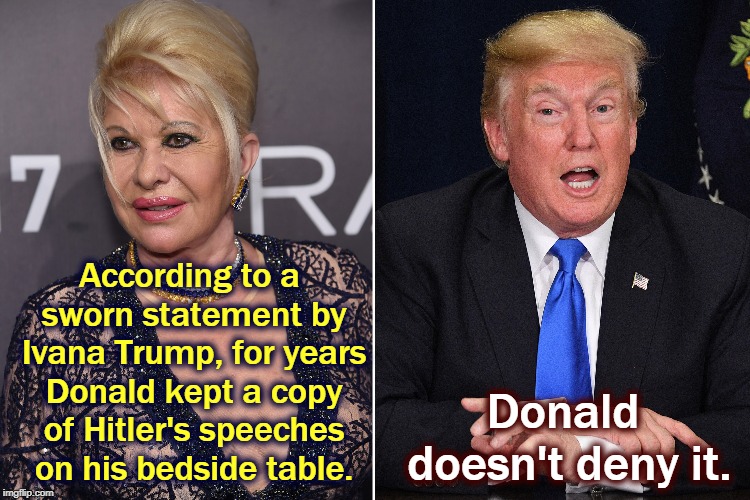 According to a sworn statement by Ivana Trump, for years Donald kept a copy of Hitler's speeches on his bedside table. Donald doesn't deny it. | image tagged in ivana trump,donald trump,hitler | made w/ Imgflip meme maker