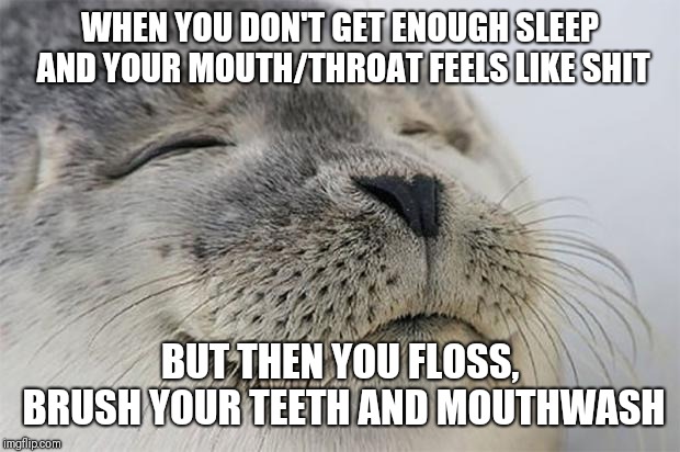 Satisfied Seal | WHEN YOU DON'T GET ENOUGH SLEEP AND YOUR MOUTH/THROAT FEELS LIKE SHIT; BUT THEN YOU FLOSS, BRUSH YOUR TEETH AND MOUTHWASH | image tagged in memes,satisfied seal,AdviceAnimals | made w/ Imgflip meme maker