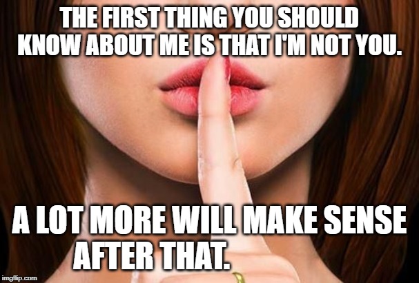 shhh | THE FIRST THING YOU SHOULD KNOW ABOUT ME IS THAT I'M NOT YOU. A LOT MORE WILL MAKE SENSE AFTER THAT. | image tagged in shhh | made w/ Imgflip meme maker