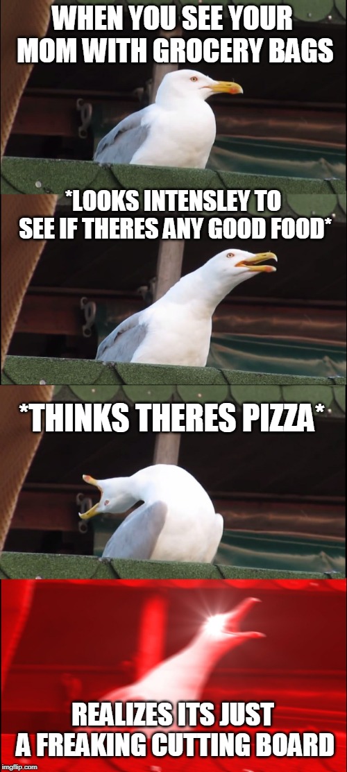 Inhaling Seagull | WHEN YOU SEE YOUR MOM WITH GROCERY BAGS; *LOOKS INTENSLEY TO SEE IF THERES ANY GOOD FOOD*; *THINKS THERES PIZZA*; REALIZES ITS JUST A FREAKING CUTTING BOARD | image tagged in memes,inhaling seagull | made w/ Imgflip meme maker