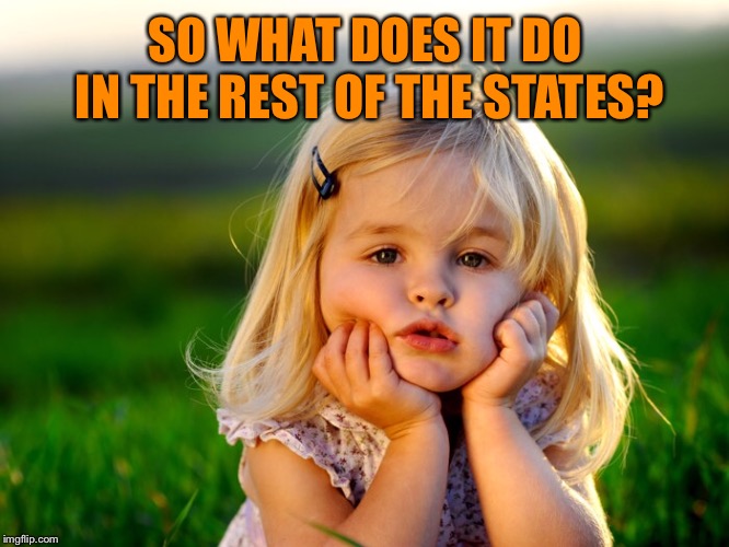 SO WHAT DOES IT DO IN THE REST OF THE STATES? | made w/ Imgflip meme maker