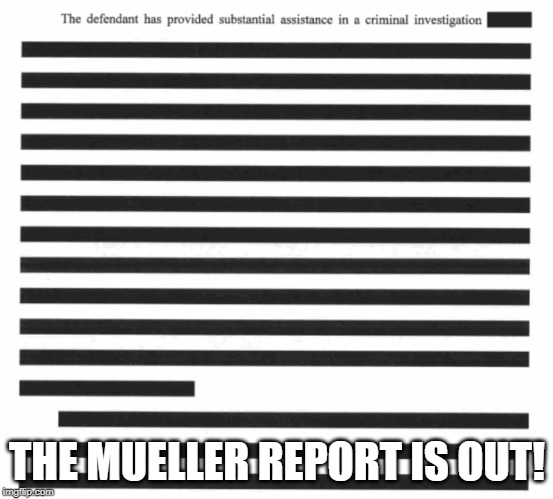 Mueller report is out! | THE MUELLER REPORT IS OUT! | image tagged in memes,politics,maga,impeach trump,drain the swamp | made w/ Imgflip meme maker