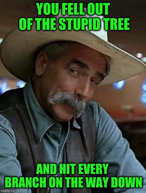 My face when |  YOU FELL OUT OF THE STUPID TREE; AND HIT EVERY BRANCH ON THE WAY DOWN | image tagged in sam elliott | made w/ Imgflip meme maker