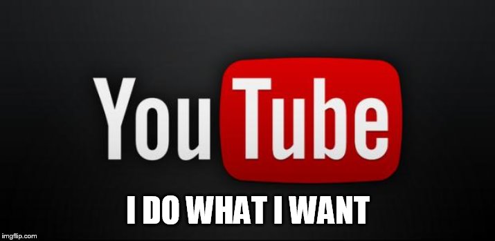 youtube | I DO WHAT I WANT | image tagged in youtube | made w/ Imgflip meme maker