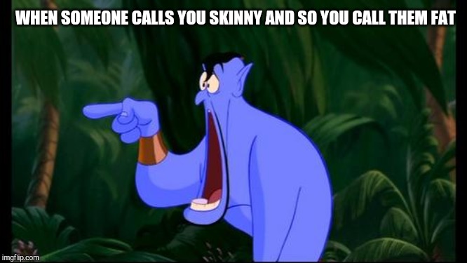 Genie Jawdropping | WHEN SOMEONE CALLS YOU SKINNY AND SO YOU CALL THEM FAT | image tagged in genie jawdropping | made w/ Imgflip meme maker