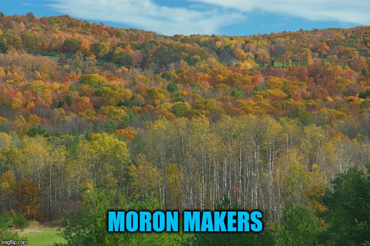 MORON MAKERS | made w/ Imgflip meme maker