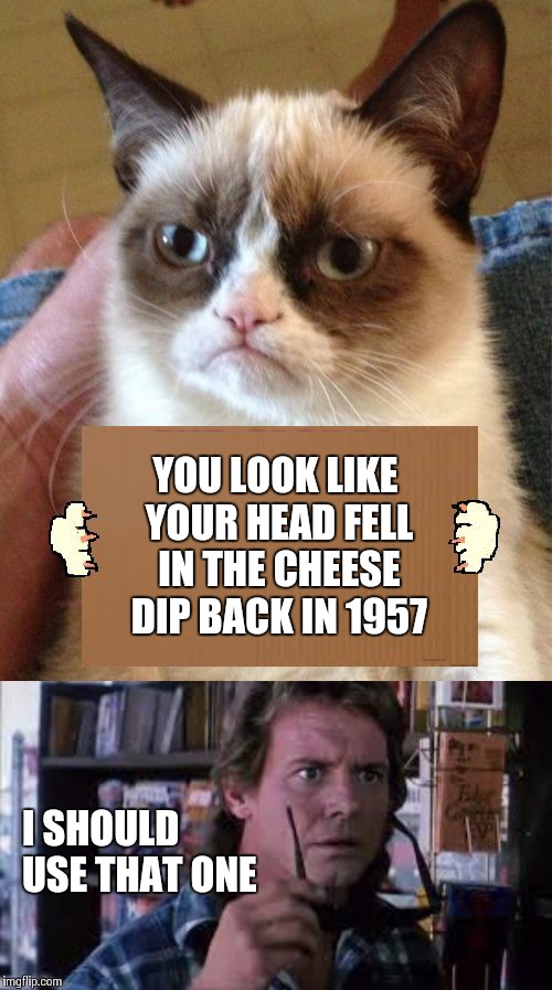 Great minds think alike | YOU LOOK LIKE YOUR HEAD FELL IN THE CHEESE DIP BACK IN 1957; I SHOULD USE THAT ONE | image tagged in grumpy cat cardboard sign,roddy they live piper,memes | made w/ Imgflip meme maker