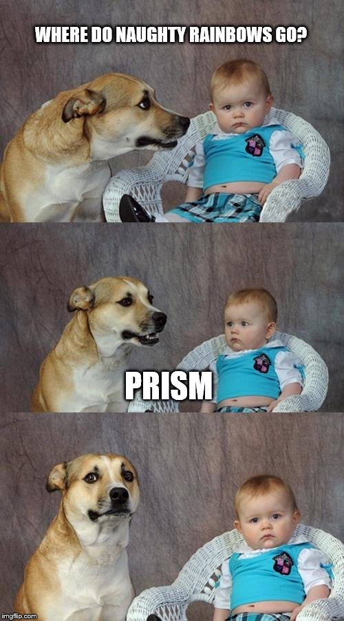 Dad Joke Dog Meme | WHERE DO NAUGHTY RAINBOWS GO? PRISM | image tagged in memes,dad joke dog | made w/ Imgflip meme maker