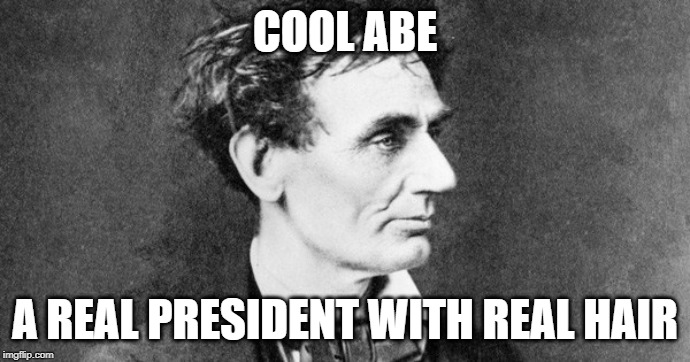 Cool Abe Says | COOL ABE; A REAL PRESIDENT WITH REAL HAIR | image tagged in political meme | made w/ Imgflip meme maker