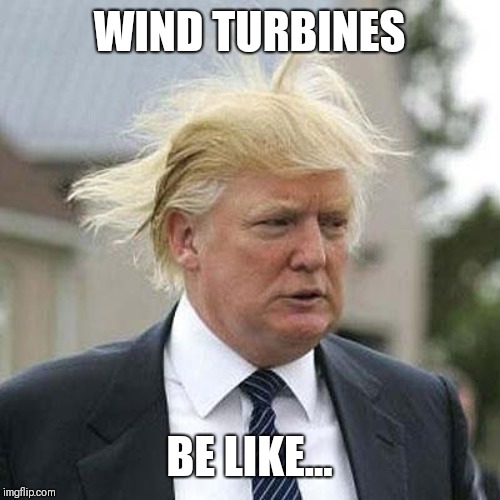 Donald Trump | WIND TURBINES; BE LIKE... | image tagged in donald trump | made w/ Imgflip meme maker