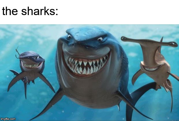 Finding Nemo Sharks | the sharks: | image tagged in finding nemo sharks | made w/ Imgflip meme maker