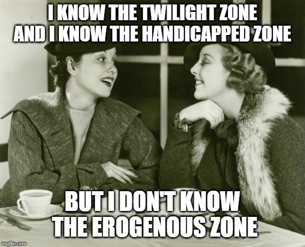 vintage gossip | I KNOW THE TWILIGHT ZONE AND I KNOW THE HANDICAPPED ZONE; BUT I DON'T KNOW THE EROGENOUS ZONE | image tagged in vintage gossip | made w/ Imgflip meme maker
