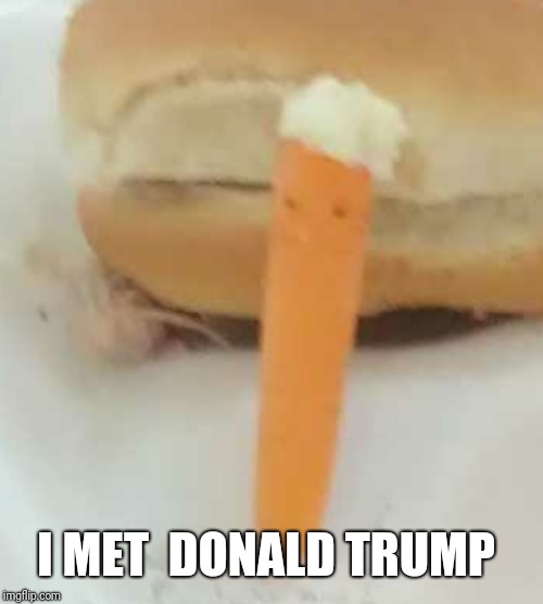 This was in my pics for a while so imade this | I MET  DONALD TRUMP | image tagged in donald trump | made w/ Imgflip meme maker