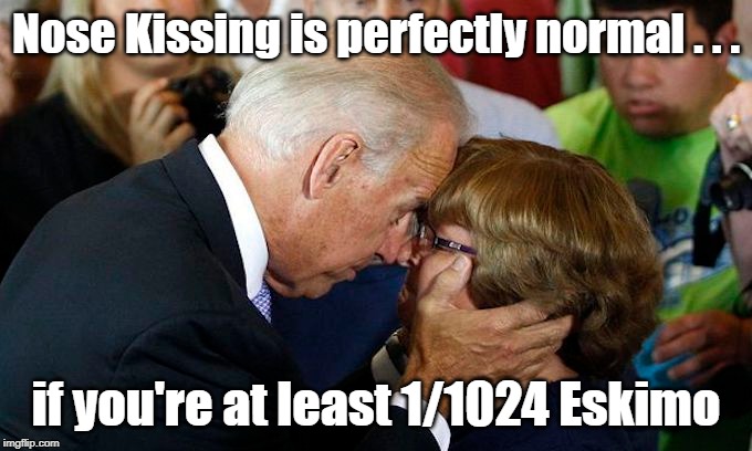 Joe Biden: DNA Results prove he's 1/1024 Eskimo !!! | Nose Kissing is perfectly normal . . . if you're at least 1/1024 Eskimo | image tagged in joe biden,joe biden nose kissing,nose kissing,1/1024 eskimo | made w/ Imgflip meme maker