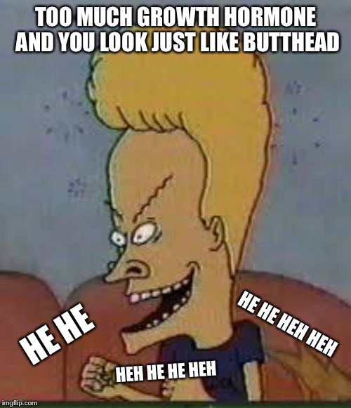 beavis | TOO MUCH GROWTH HORMONE AND YOU LOOK JUST LIKE BUTTHEAD HE HE HEH HE HE HEH HE HE HEH HEH | image tagged in beavis | made w/ Imgflip meme maker