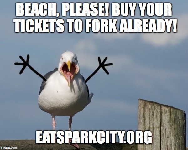 Dramatic Seagull | BEACH, PLEASE! BUY YOUR TICKETS TO FORK ALREADY! EATSPARKCITY.ORG | image tagged in dramatic seagull | made w/ Imgflip meme maker