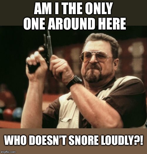 Am I The Only One Around Here Meme | AM I THE ONLY ONE AROUND HERE WHO DOESN’T SNORE LOUDLY?! | image tagged in memes,am i the only one around here | made w/ Imgflip meme maker