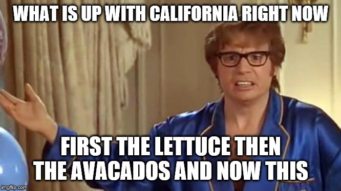 Austin Powers Honestly Meme | WHAT IS UP WITH CALIFORNIA RIGHT NOW FIRST THE LETTUCE THEN THE AVACADOS AND NOW THIS | image tagged in memes,austin powers honestly | made w/ Imgflip meme maker