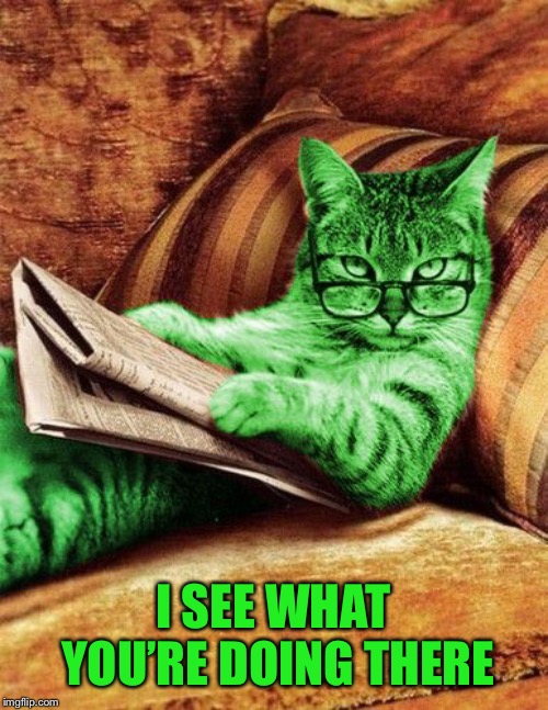 Factual RayCat | I SEE WHAT YOU’RE DOING THERE | image tagged in factual raycat | made w/ Imgflip meme maker