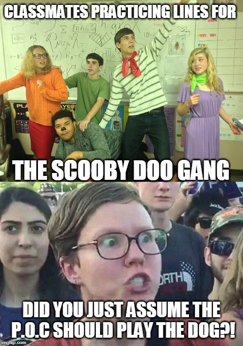 Maybe he wanted that part? | CLASSMATES PRACTICING LINES FOR; THE SCOOBY DOO GANG; DID YOU JUST ASSUME THE P.O.C SHOULD PLAY THE DOG?! | image tagged in triggered liberal,scooby doo,actors,no racism,rehearsal,memes | made w/ Imgflip meme maker