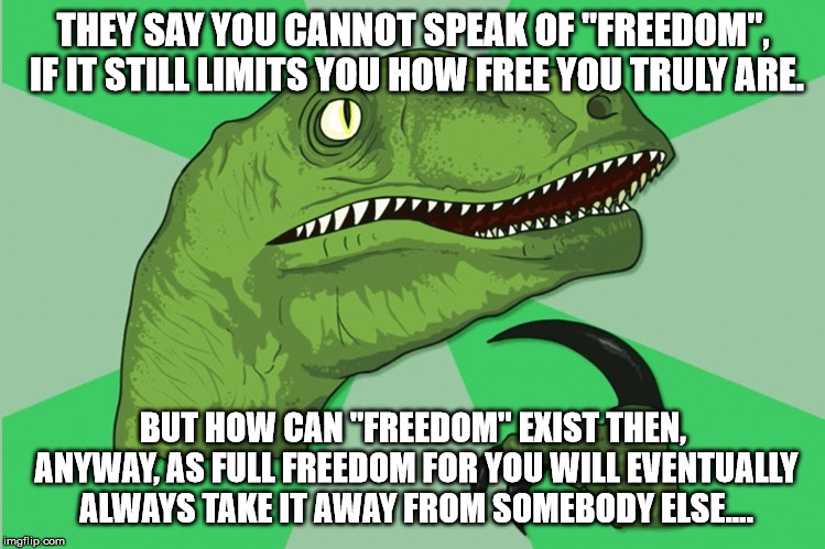 Constraint? Paradox? Crap! | THEY SAY YOU CANNOT SPEAK OF "FREEDOM", IF IT STILL LIMITS YOU HOW FREE YOU TRULY ARE. BUT HOW CAN "FREEDOM" EXIST THEN, ANYWAY, AS FULL FREEDOM FOR YOU WILL EVENTUALLY ALWAYS TAKE IT AWAY FROM SOMEBODY ELSE.... | image tagged in new philosoraptor | made w/ Imgflip meme maker