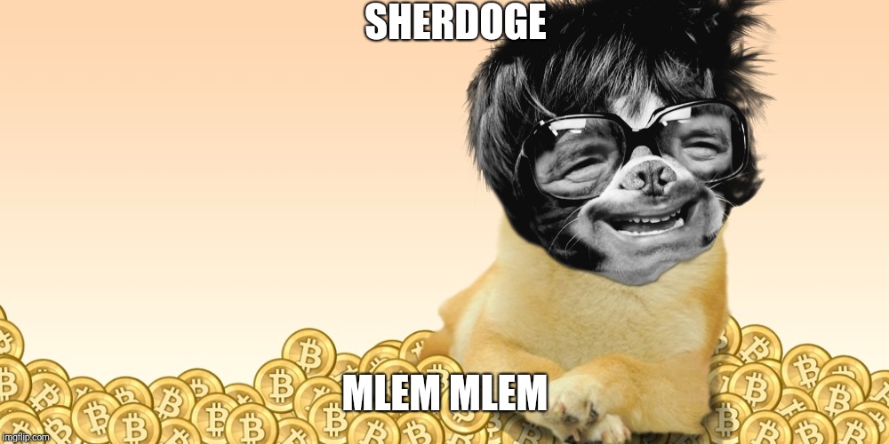 Doge Coin | SHERDOGE; MLEM MLEM | image tagged in doge coin | made w/ Imgflip meme maker