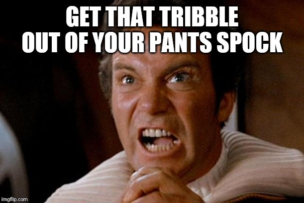 Star Trek Kirk Khan | GET THAT TRIBBLE OUT OF YOUR PANTS SPOCK | image tagged in star trek kirk khan | made w/ Imgflip meme maker