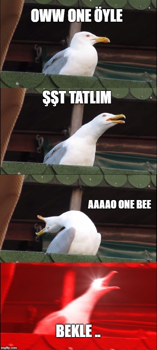 Inhaling Seagull | OWW ONE ÖYLE; ŞŞT TATLIM; AAAAO ONE BEE; BEKLE .. | image tagged in memes,inhaling seagull | made w/ Imgflip meme maker