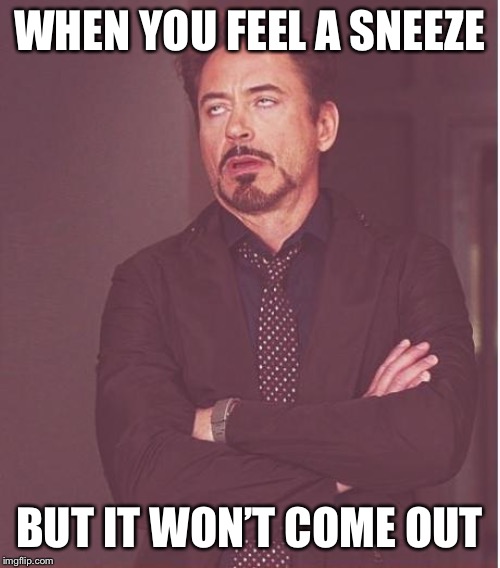 It won’t come out | WHEN YOU FEEL A SNEEZE; BUT IT WON’T COME OUT | image tagged in lol so funny,sneezing,first world problems,please help me,ahhhhh | made w/ Imgflip meme maker