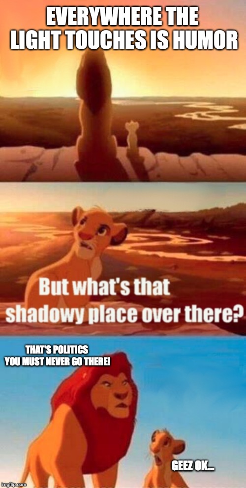Simba Shadowy Place Meme | EVERYWHERE THE LIGHT TOUCHES IS HUMOR; THAT'S POLITICS YOU MUST NEVER GO THERE! GEEZ OK... | image tagged in memes,simba shadowy place | made w/ Imgflip meme maker