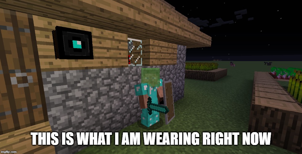 :T | THIS IS WHAT I AM WEARING RIGHT NOW | image tagged in minecraft | made w/ Imgflip meme maker