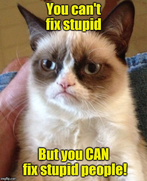 You can't fix stupid But you CAN fix stupid people! | made w/ Imgflip meme maker