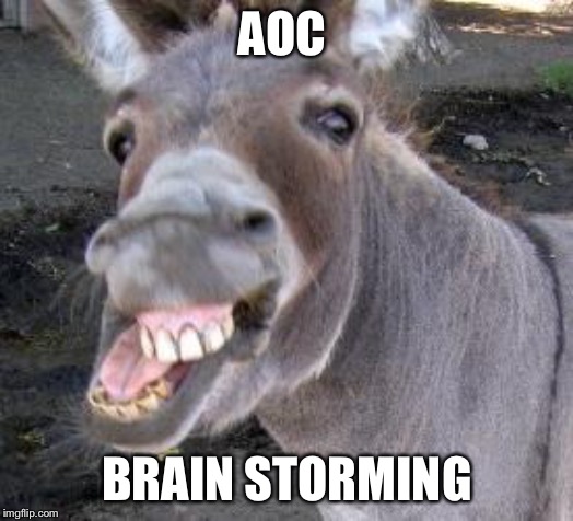 Donkey | AOC; BRAIN
STORMING | image tagged in donkey | made w/ Imgflip meme maker
