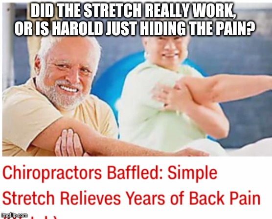 DID THE STRETCH REALLY WORK, OR IS HAROLD JUST HIDING THE PAIN? | image tagged in hide the pain harold | made w/ Imgflip meme maker