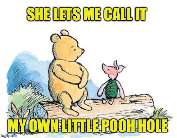 winnie the pooh and piglet | SHE LETS ME CALL IT MY OWN LITTLE POOH HOLE | image tagged in winnie the pooh and piglet | made w/ Imgflip meme maker