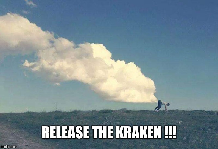 Release the Kraken | RELEASE THE KRAKEN !!! | image tagged in fart | made w/ Imgflip meme maker
