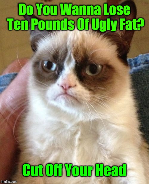 Grumpy's Advice On Weight Loss | Do You Wanna Lose Ten Pounds Of Ugly Fat? Cut Off Your Head | image tagged in memes,grumpy cat,excercise,weight loss | made w/ Imgflip meme maker