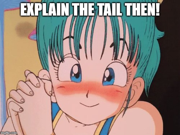 EXPLAIN THE TAIL THEN! | image tagged in dragon ball bulma arab suit | made w/ Imgflip meme maker