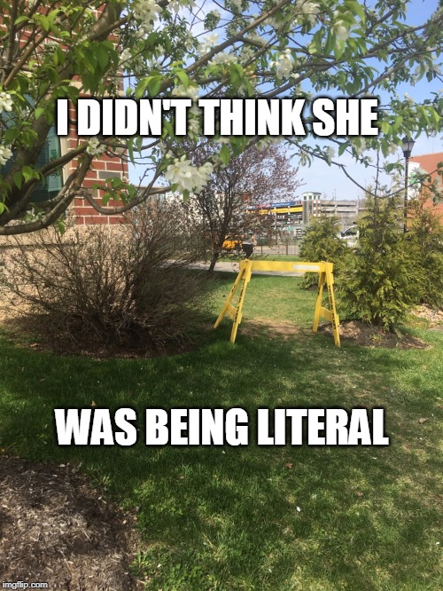 I DIDN'T THINK SHE; WAS BEING LITERAL | image tagged in literal hurdle | made w/ Imgflip meme maker