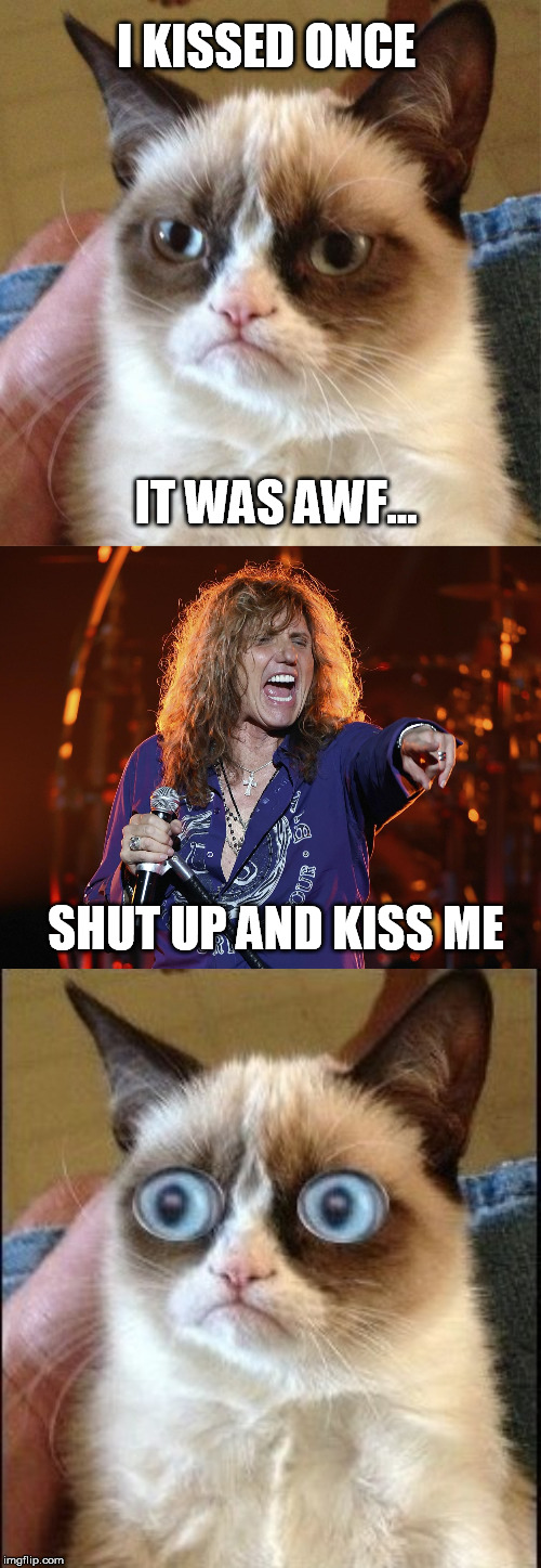 Catchy new song from Whitesnake |  I KISSED ONCE; IT WAS AWF... SHUT UP AND KISS ME | image tagged in grumpy cat shocked,whitesnake,rock,grumpy cat,kiss me | made w/ Imgflip meme maker