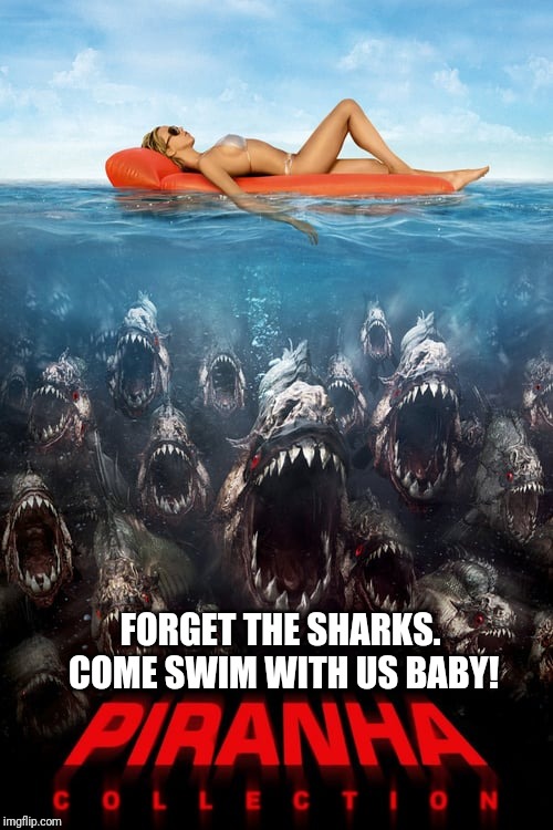 FORGET THE SHARKS. COME SWIM WITH US BABY! | made w/ Imgflip meme maker