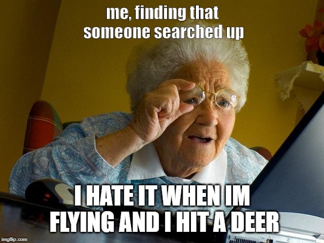 Da heck | me, finding that someone searched up; I HATE IT WHEN IM FLYING AND I HIT A DEER | image tagged in memes,grandma finds the internet,why,hit a deer | made w/ Imgflip meme maker