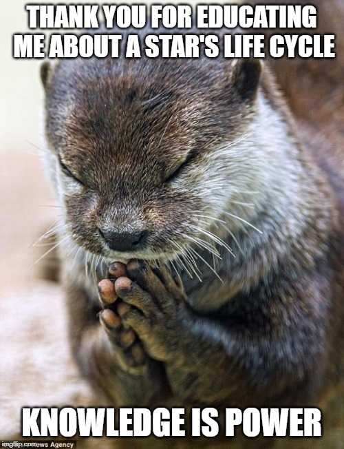 Thank you Lord Otter | THANK YOU FOR EDUCATING ME ABOUT A STAR'S LIFE CYCLE KNOWLEDGE IS POWER | image tagged in thank you lord otter | made w/ Imgflip meme maker