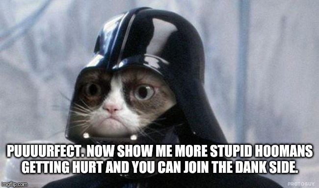 Grumpy Cat Star Wars Meme | PUUUURFECT. NOW SHOW ME MORE STUPID HOOMANS GETTING HURT AND YOU CAN JOIN THE DANK SIDE. | image tagged in memes,grumpy cat star wars,grumpy cat | made w/ Imgflip meme maker